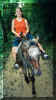 horse2.jpg (44201 bytes)
