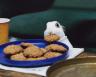 Desdemona eats a cookie (no, cookies aren't good for bunnies)