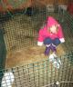 Amelia, our helper, kept bunnies from scuffling in the pen