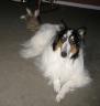 casper-elise-0307.jpg