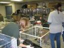 watseka-030307-2.jpg