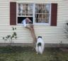 Maddux and Casper
