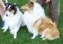Casper and Sophie
