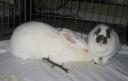 joeyannabelle0507b.jpg