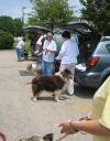 collieres0607d.jpg