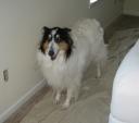 paint0707casper.jpg