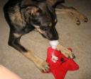 walt080107b.jpg