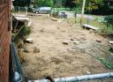 bunyard1.jpg