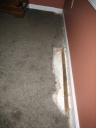 carpet1.jpg