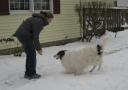 caspersnow0208.jpg