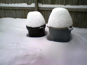 snowtrashcans
