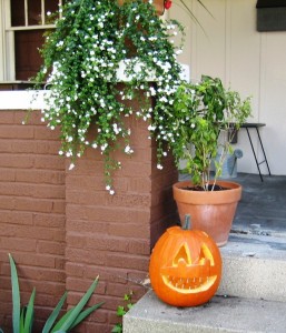 pumpkin09